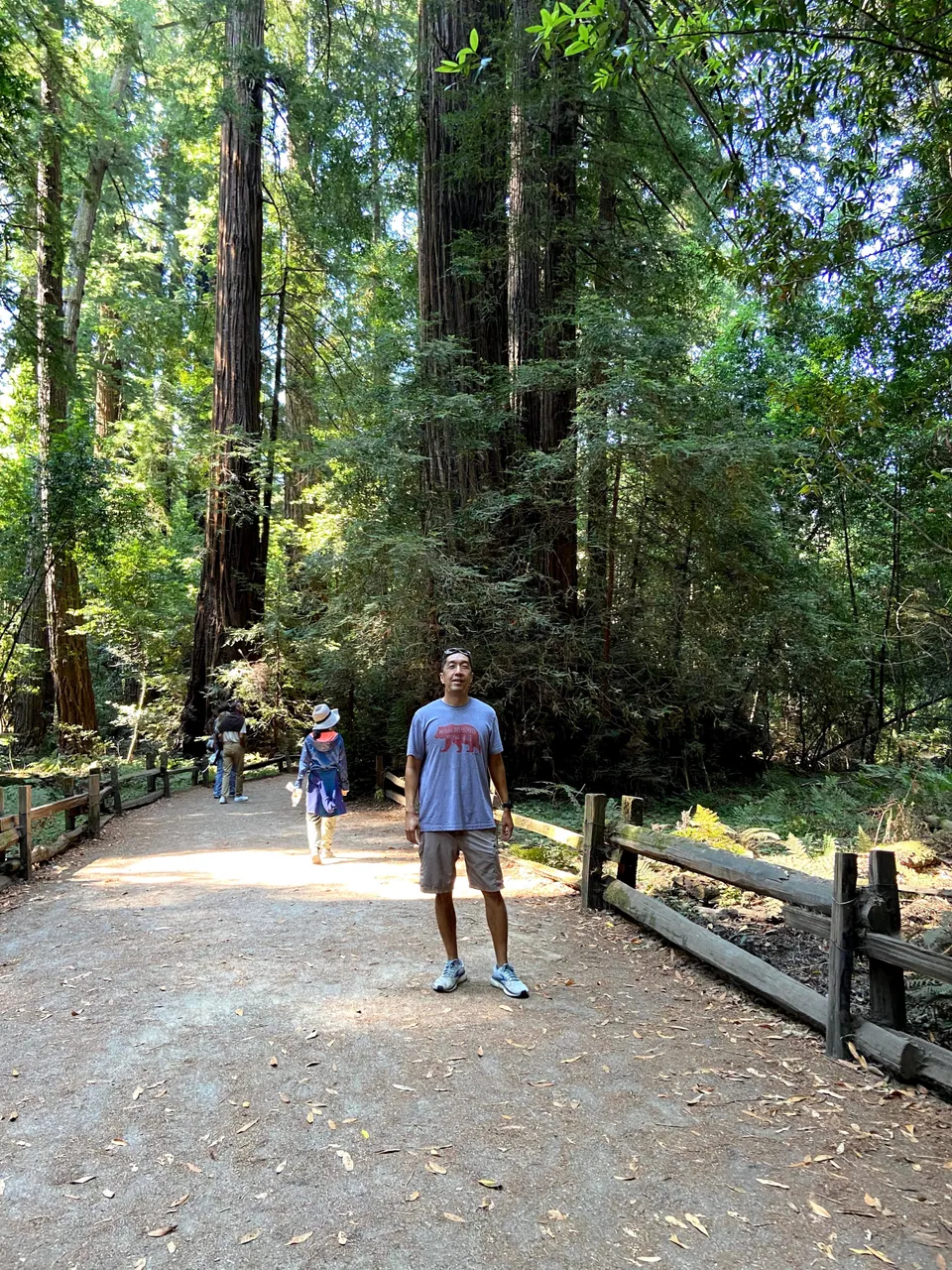 A man in a gray T-shirt and shorts stands on a wide dirt trail among towering redwoods, with other visitors walking away behind him.