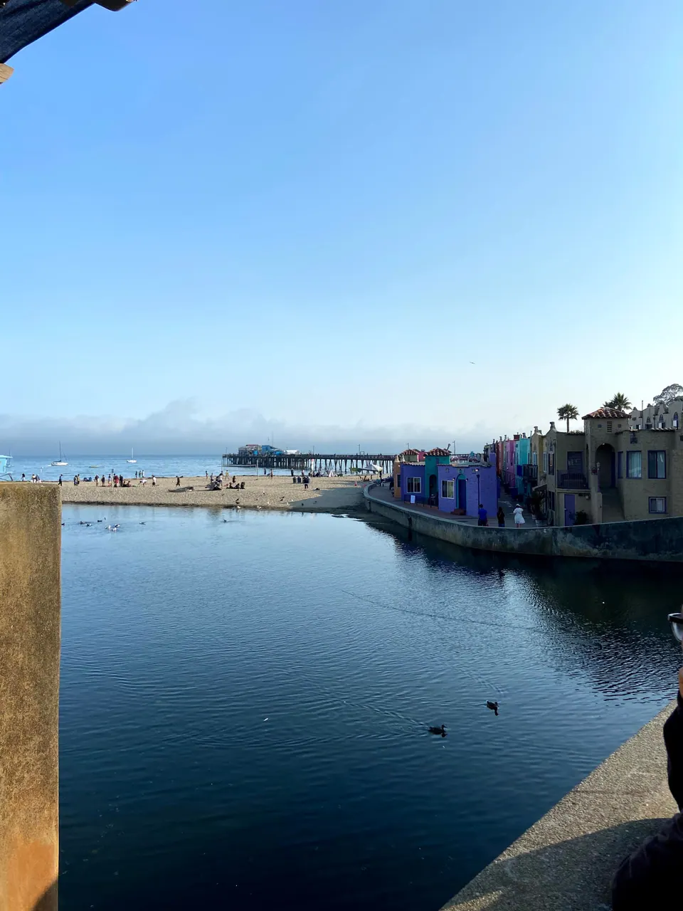 Looking down a creek mouth to a beach, a wharf and a row of purple, teal and pink cottages, with ducks on the water and a fog bank at the horizon.