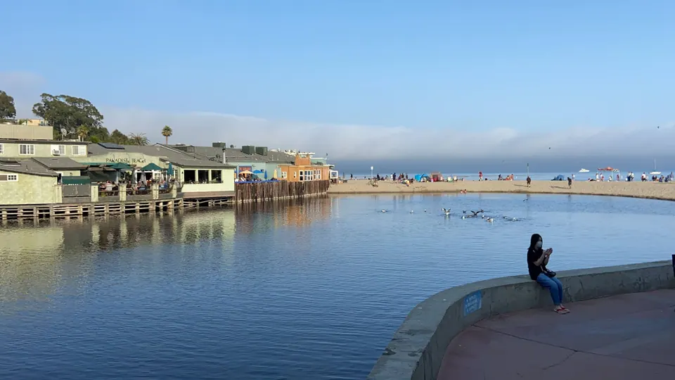 A still lagoon with waterfront restaurants on stilts at left, gulls on the water, a sandy beach at right and a person sitting on the sea wall.