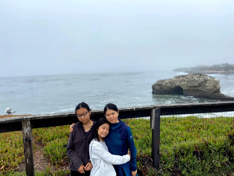 A woman in a navy hoodie holds two girls close at a railing above the misty sea, with an arch rock behind them and a gull at the left edge.