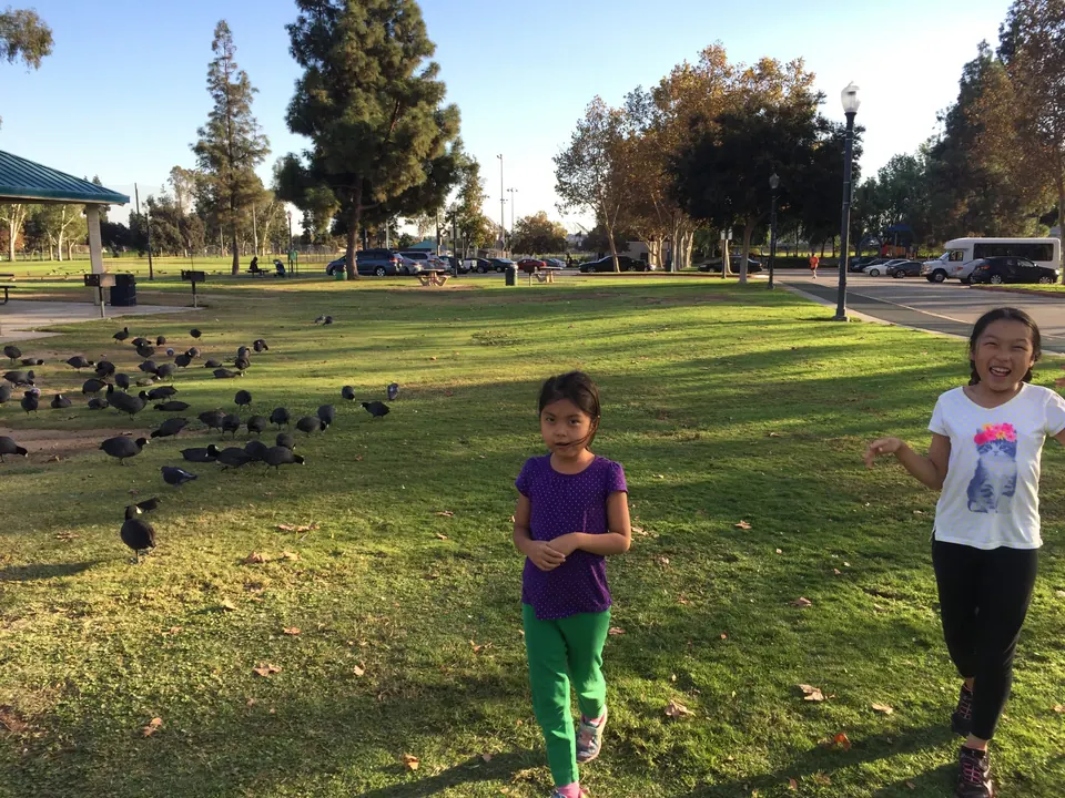 Two girls walk across a sunny park lawn, one in a purple top and green leggings, one in a white T-shirt, with a flock of dark birds on the grass beside them.