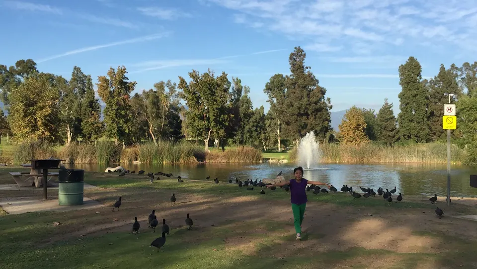 A girl in a purple top runs with her arms out across a dirt path past coots, with a fountain spraying in a pond and tall trees behind.