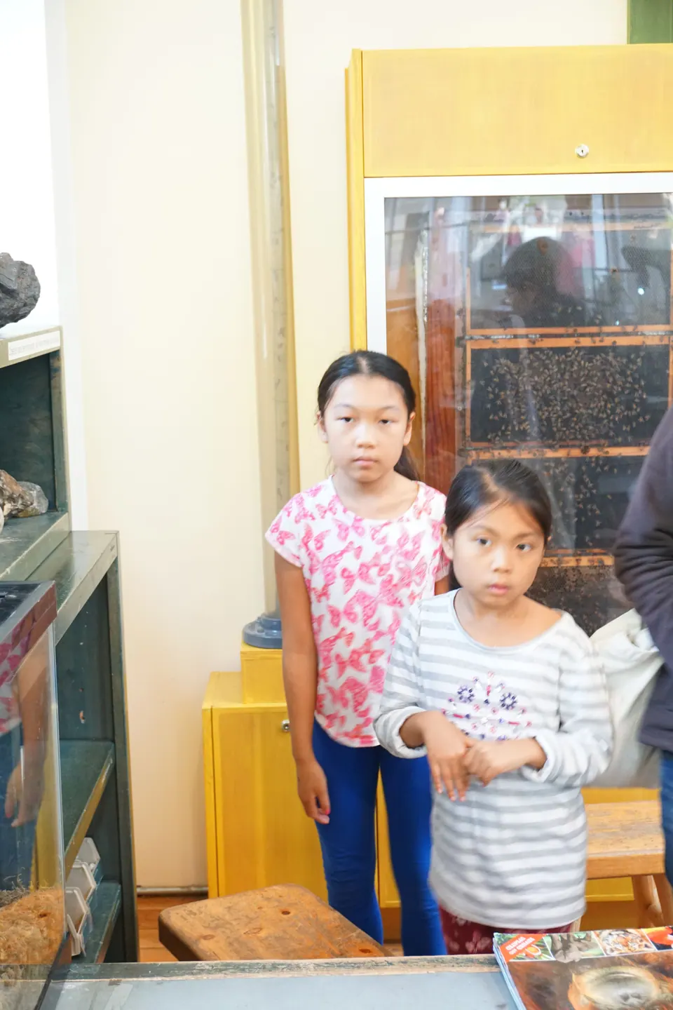 Two girls, one in a pink butterfly top and one in a striped top, stand in front of a yellow-framed glass case full of bees.