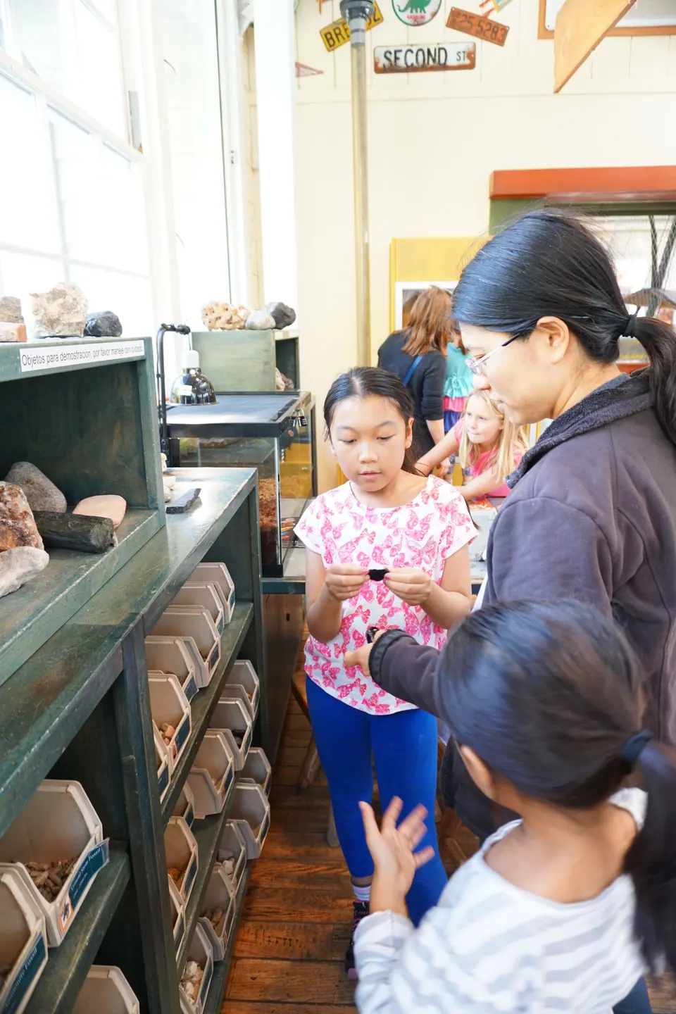 Indoors, two girls and a woman lean over a display case with trays of rocks and specimens.