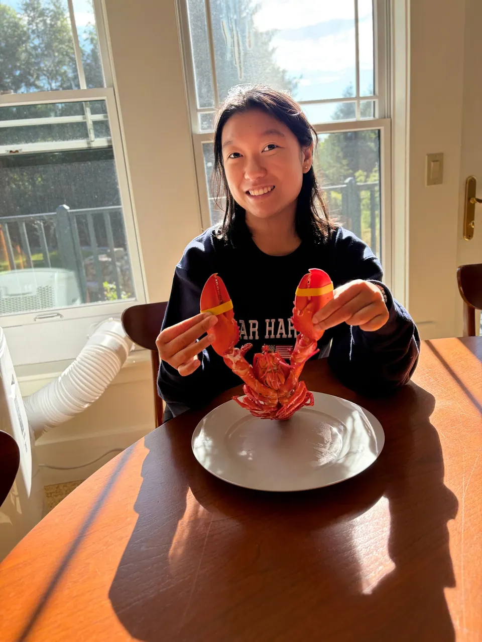 A girl in a navy Bar Harbor sweatshirt grins as she holds up a whole red lobster over a white plate at a sunlit wooden table.