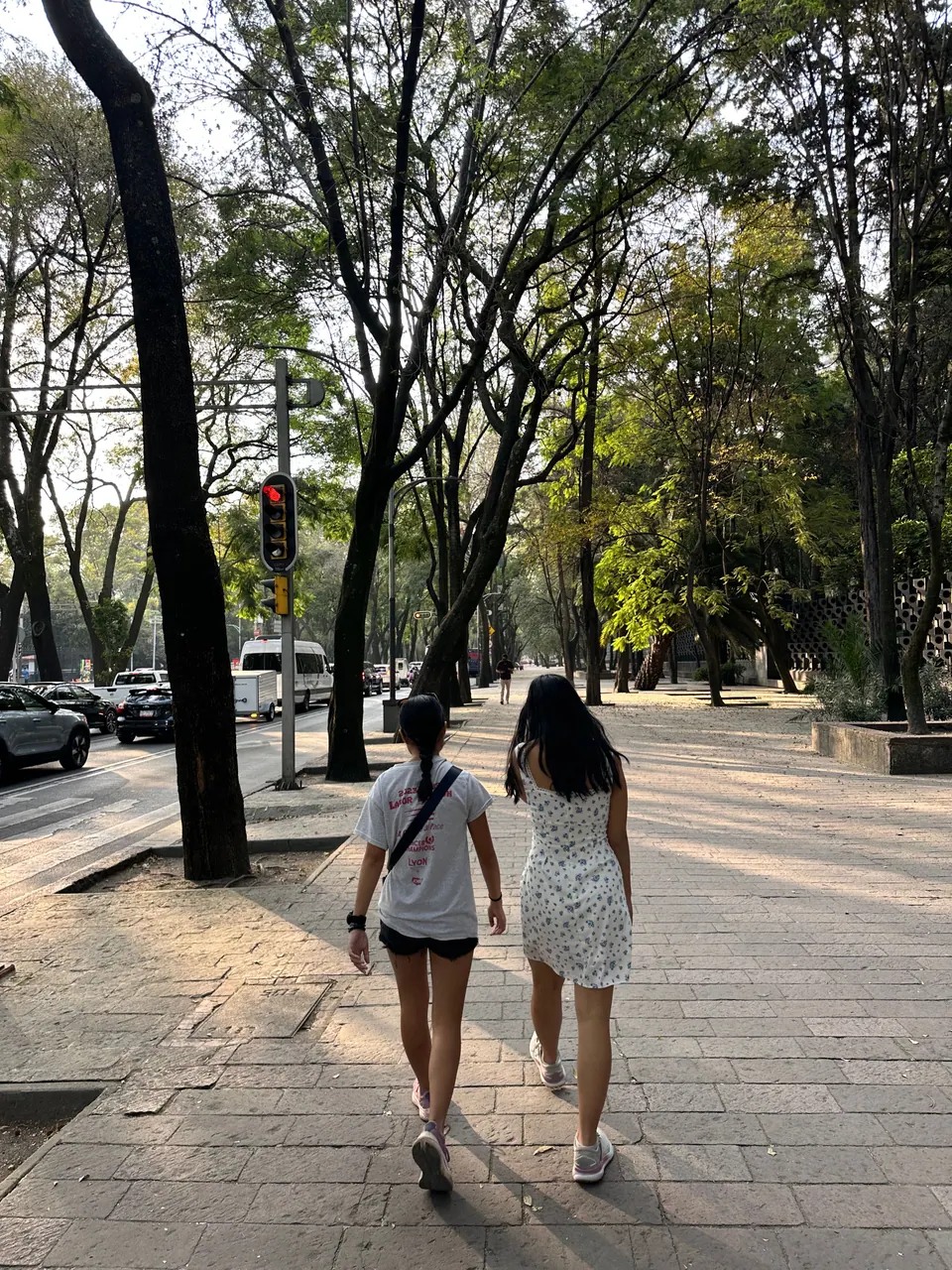 Two girls walk away from the camera along a wide paved sidewalk under tall trees, with traffic lights and cars to the left.