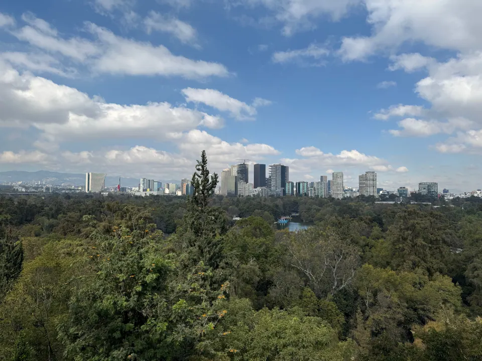 A wide view over a green forest canopy with a small lake to a line of skyscrapers and distant mountains under a big sky of white clouds.