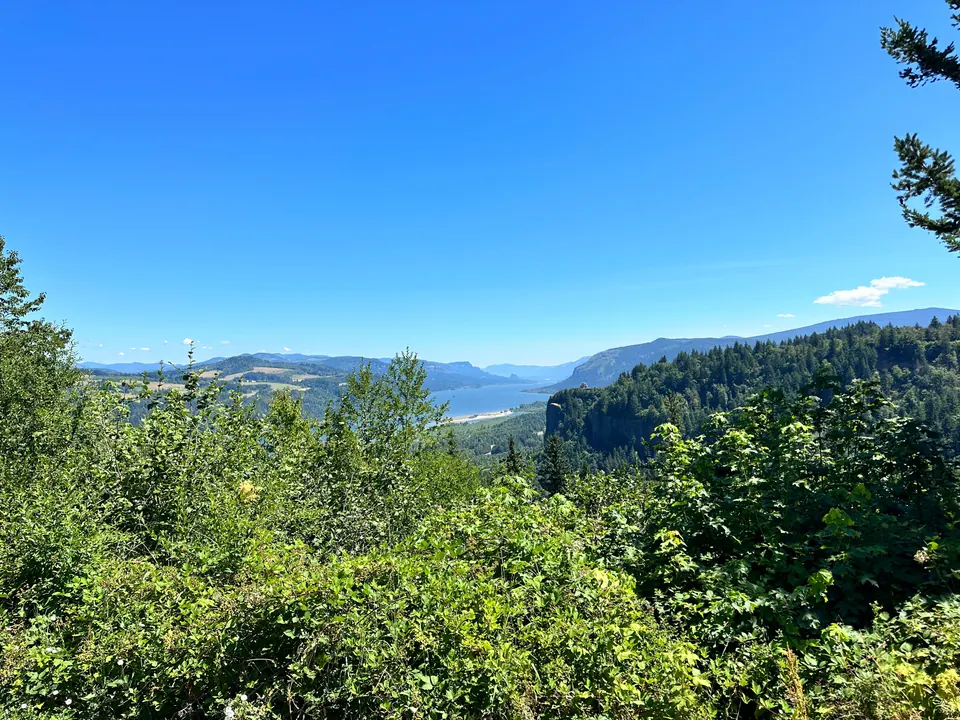 A wide river valley seen from a high, leafy viewpoint under a clear blue sky.