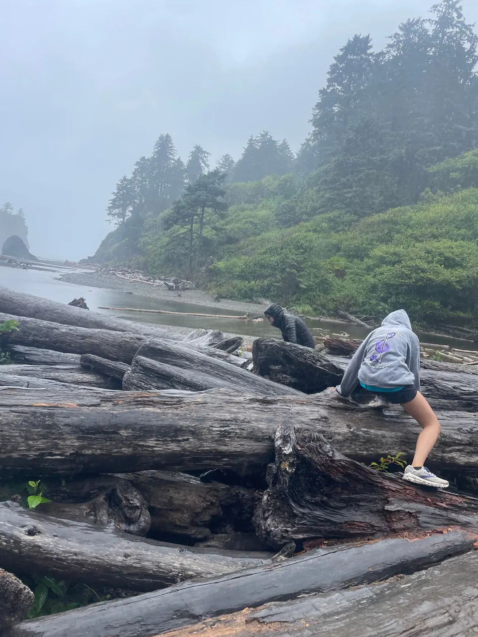 A person in a gray hoodie climbs across large drift logs on a foggy beach with forested headlands behind.