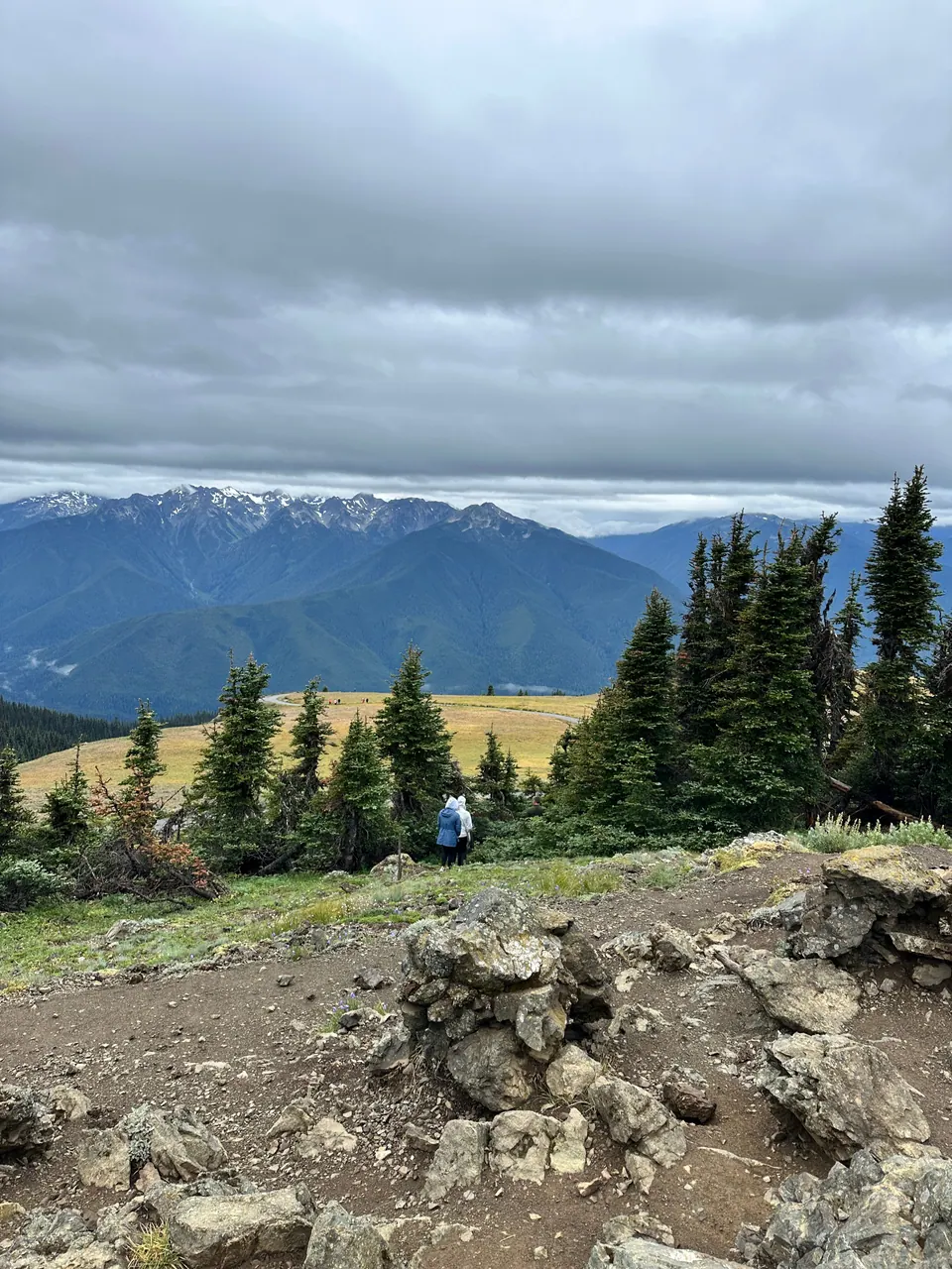 A rocky foreground, dark fir trees and a pale meadow below snow-streaked mountains.
