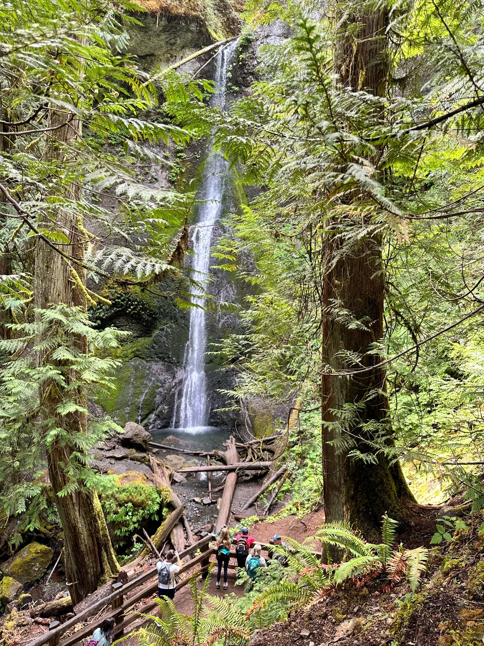A thin waterfall falls through a mossy, fern-covered cleft; a wooden viewing platform is below.