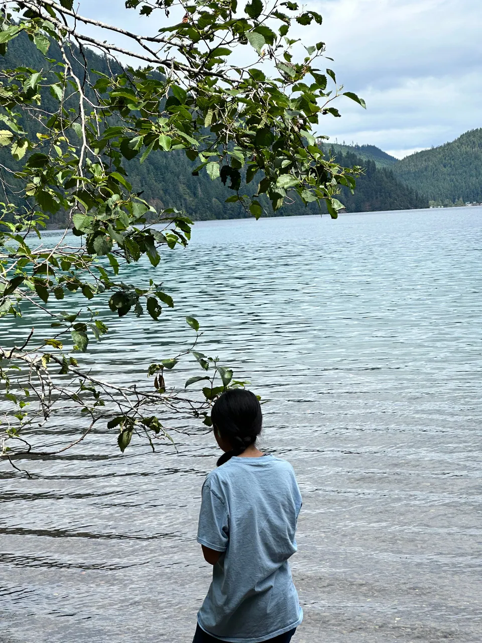 A girl stands at the water's edge under overhanging branches, looking across the lake to the hills.
