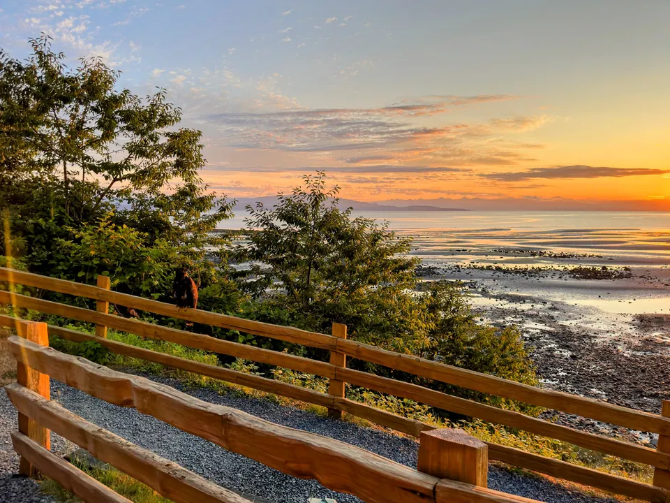 An orange sunrise over wide tidal flats, seen past a wooden fence and trees.