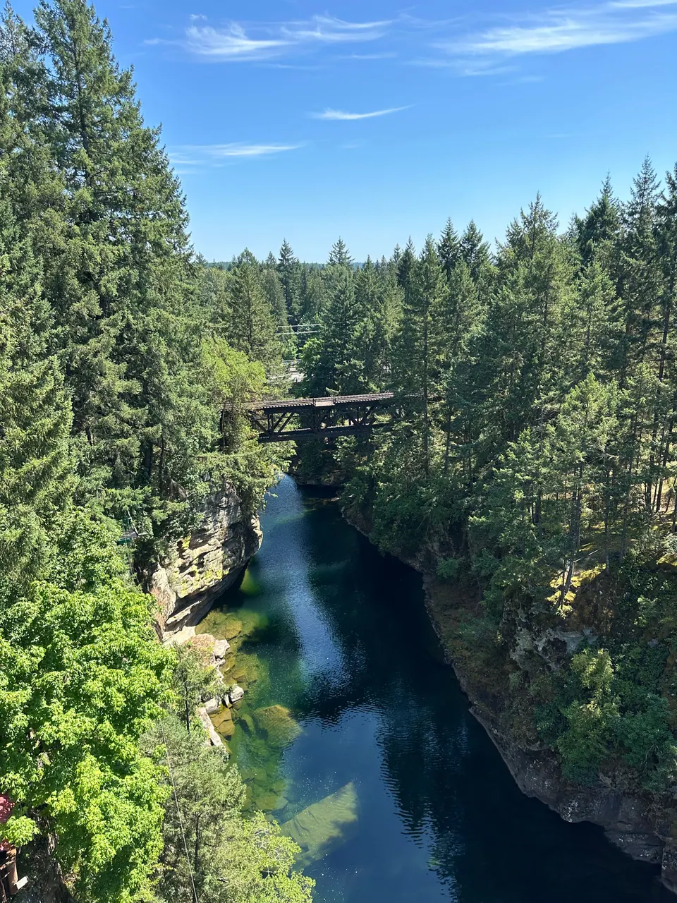 A deep green river canyon lined with tall firs, with a bridge spanning it in the distance.