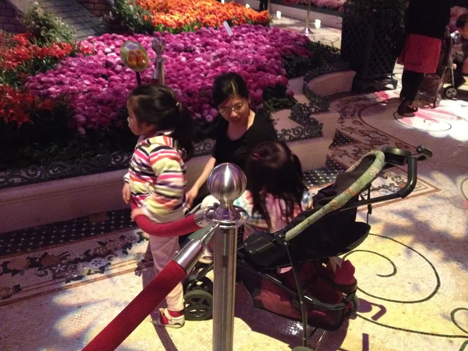 A girl in a striped jacket stands at a red velvet rope beside a stroller while a woman in black bends over the second girl, in front of a bank of magenta flowers.