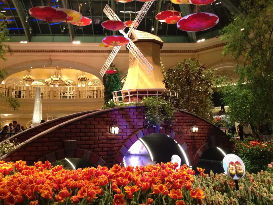 A Dutch windmill stands above an arched brick bridge, with a bed of orange tulips in front and large red parasols hanging from a glass roof.