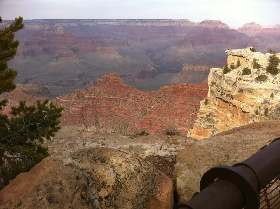 Red and cream buttes and side canyons of the Grand Canyon stretch away in late-afternoon light, seen past a pine branch and the rim railing.