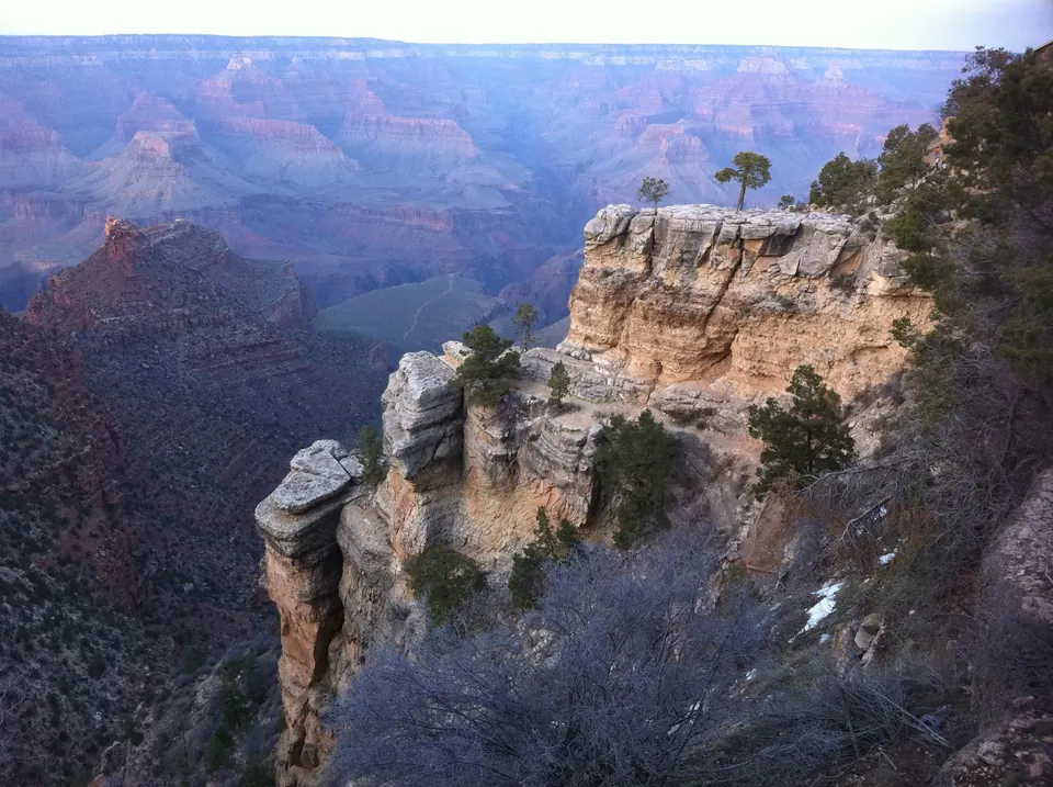 Late light turns the canyon layers blue and rose behind a sandstone tower topped with a single pine.