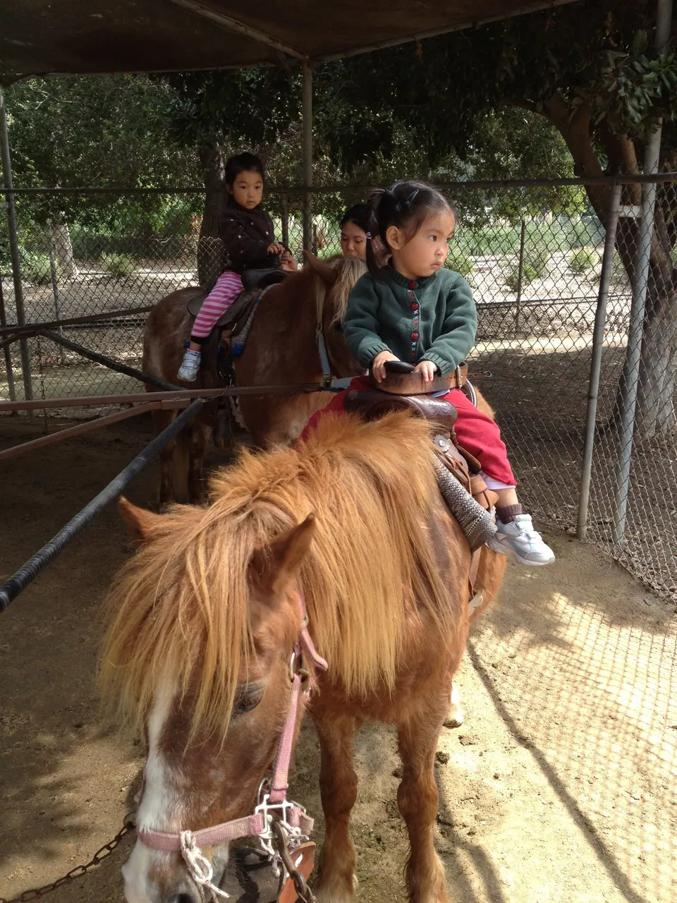 From behind a pony with a shaggy blond mane, the girl in a green cardigan rides ahead of the other rider under the shade roof.