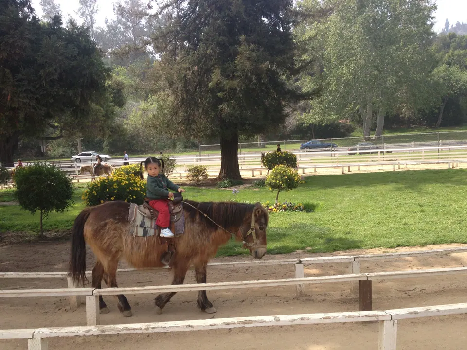 A girl in a green jacket and red pants rides a brown pony along the track with a green lawn and trees behind.