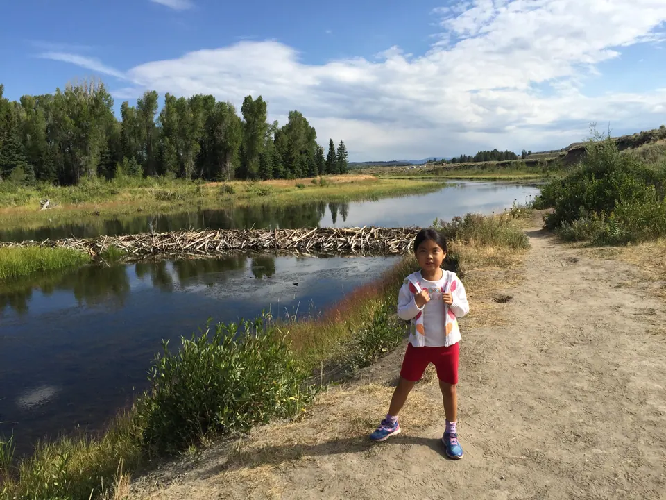 A small girl in a white jacket and red shorts stands on a dirt path beside a calm river channel with a beaver dam of piled sticks and tall cottonwoods behind.