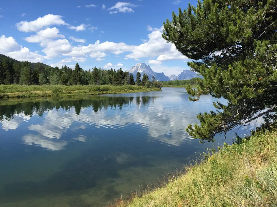 A snow-streaked mountain peak rises beyond a still, wide river that reflects white clouds and a blue sky; a pine branch leans in from the right over a grassy bank.