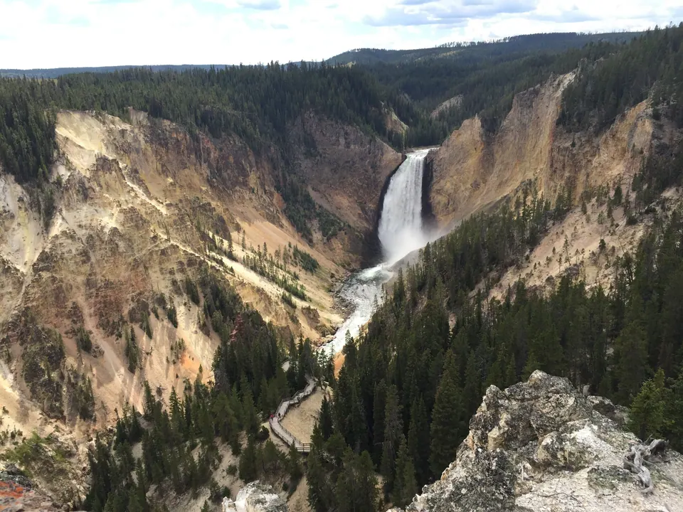 A tall waterfall pours into a deep canyon with yellow and ochre walls and pine-covered rims, seen from a rocky viewpoint under a pale sky.