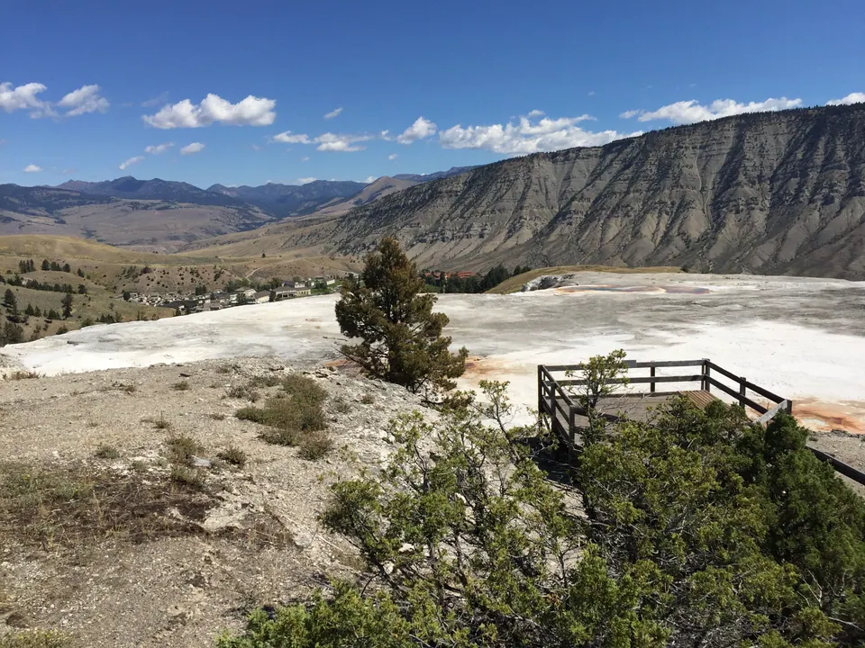 White mineral terraces spread out below a wooden viewing platform, with a juniper in front, a small town in the valley and a steep bare ridge under a blue sky.