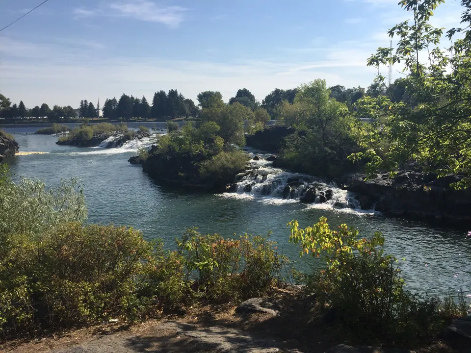 A broad river spills over low, rocky ledges between islands of green shrubs and trees under a pale morning sky.